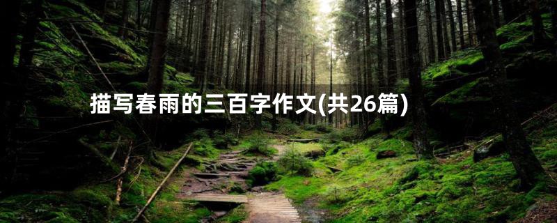 描写春雨的三百字作文(共26篇)