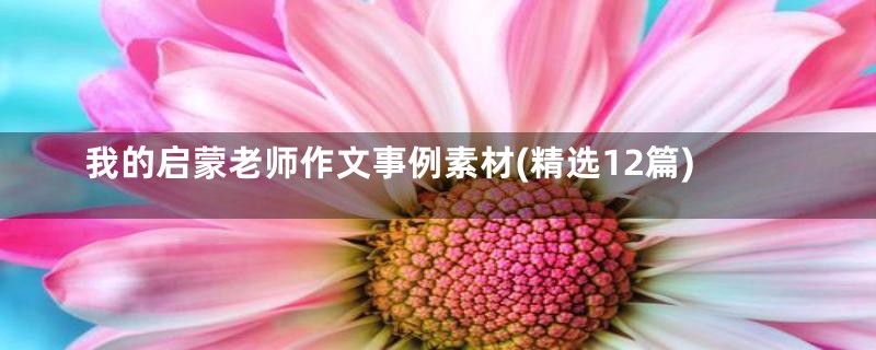 我的启蒙老师作文事例素材(精选12篇)