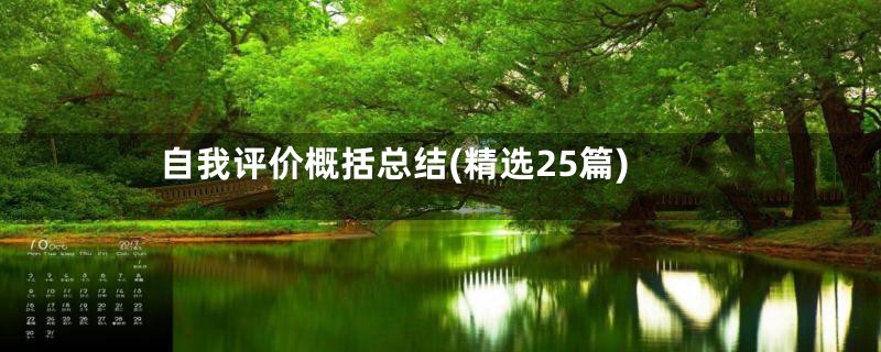 自我评价概括总结(精选25篇)