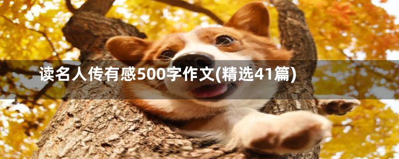 读名人传有感500字作文(精选41篇)