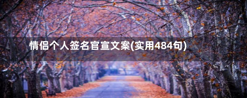 情侣个人签名官宣文案(实用484句)