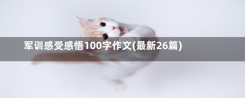 军训感受感悟100字作文(最新26篇)