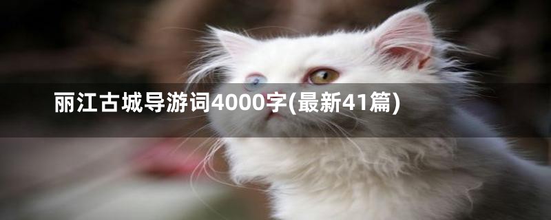 丽江古城导游词4000字(最新41篇)