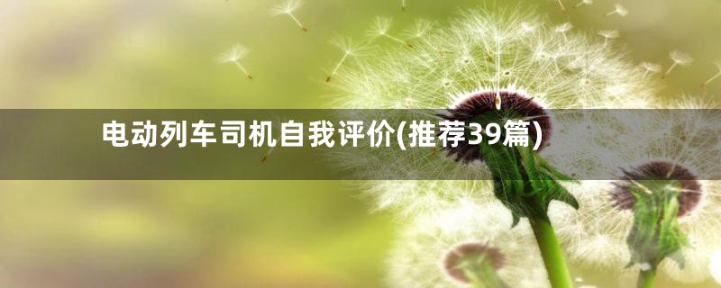 电动列车司机自我评价(推荐39篇)