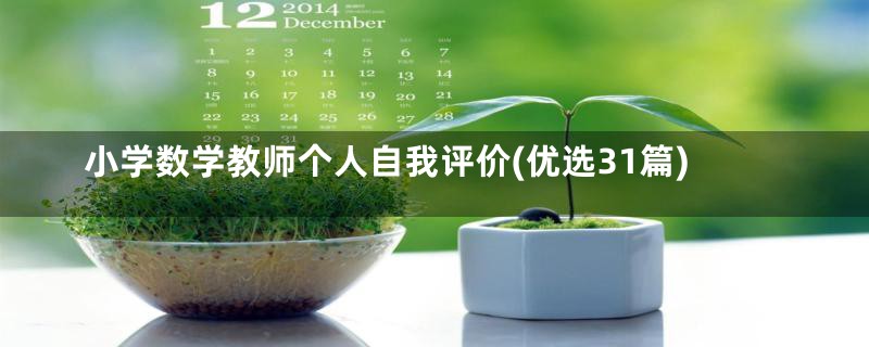 小学数学教师个人自我评价(优选31篇)