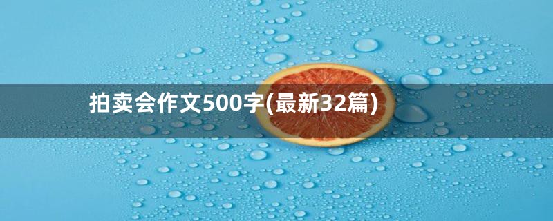 拍卖会作文500字(最新32篇)