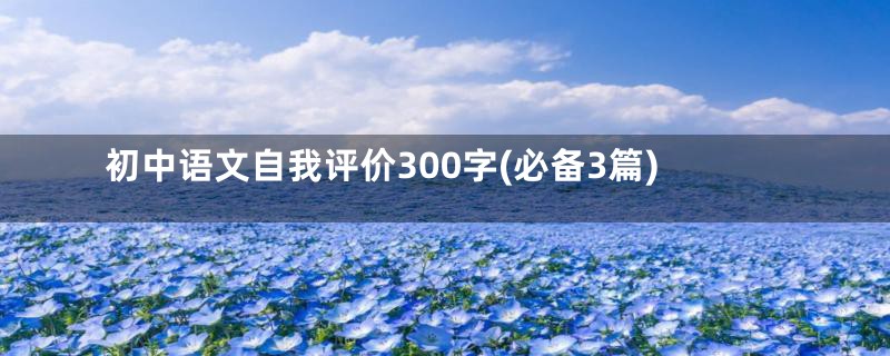 初中语文自我评价300字(必备3篇)