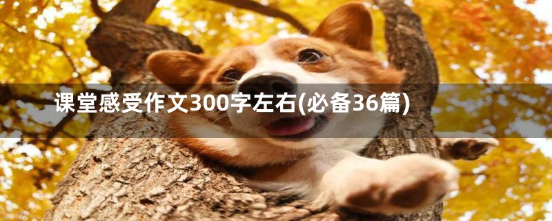 课堂感受作文300字左右(必备36篇)