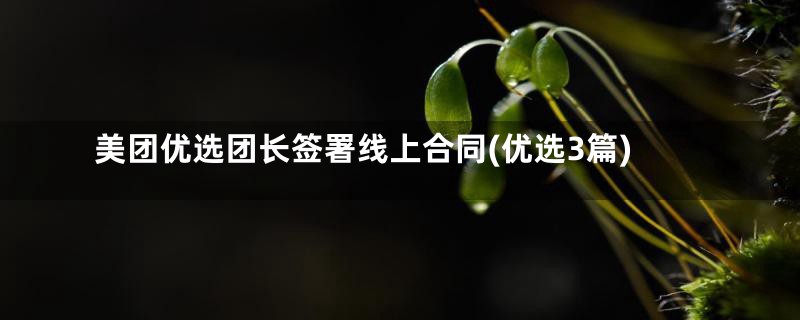 美团优选团长签署线上合同(优选3篇)