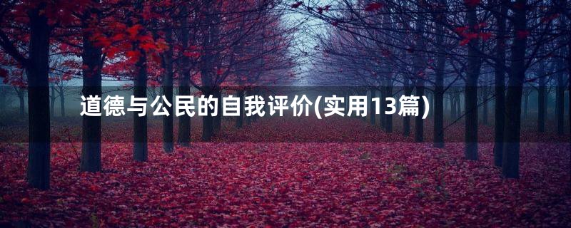 道德与公民的自我评价(实用13篇)