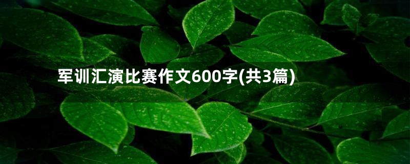 军训汇演比赛作文600字(共3篇)