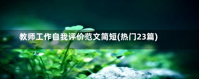 教师工作自我评价范文简短(热门23篇)