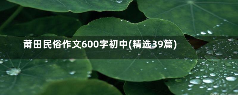 莆田民俗作文600字初中(精选39篇)