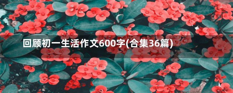 回顾初一生活作文600字(合集36篇)