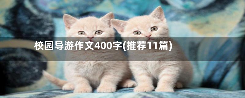 校园导游作文400字(推荐11篇)