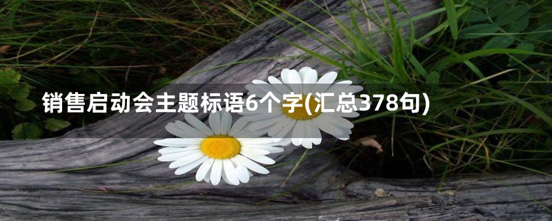 销售启动会主题标语6个字(汇总378句)