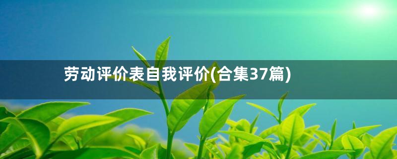 劳动评价表自我评价(合集37篇)