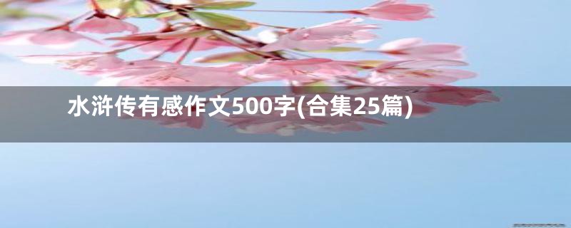 水浒传有感作文500字(合集25篇)