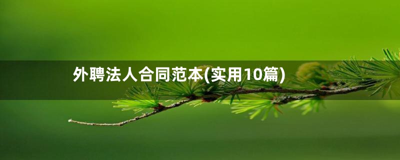 外聘法人合同范本(实用10篇)