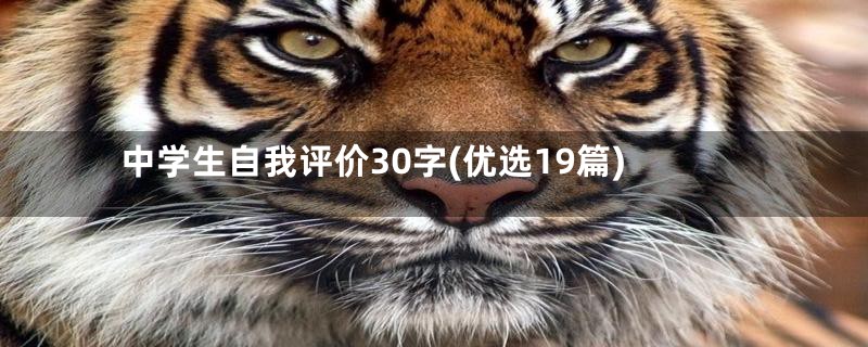 中学生自我评价30字(优选19篇)