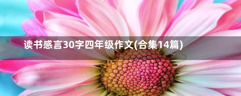 读书感言30字四年级作文(合集14篇)