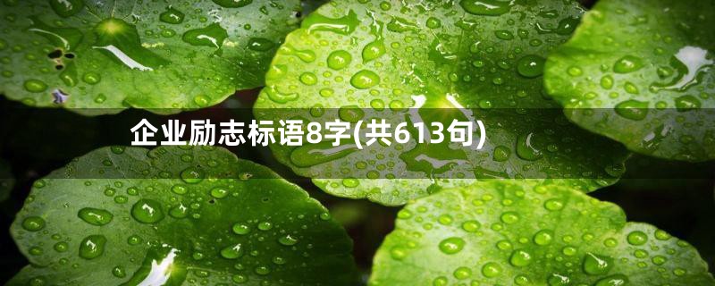 企业励志标语8字(共613句)