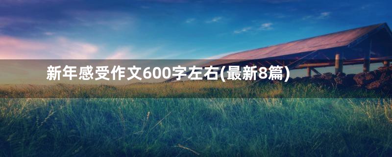 新年感受作文600字左右(最新8篇)