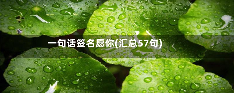 一句话签名愿你(汇总57句)