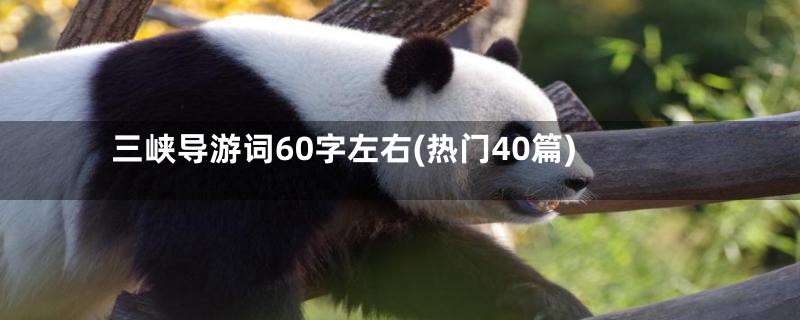 三峡导游词60字左右(热门40篇)