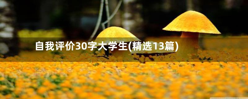 自我评价30字大学生(精选13篇)