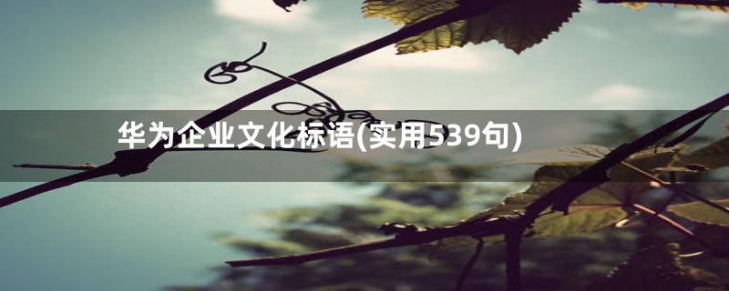 华为企业文化标语(实用539句)