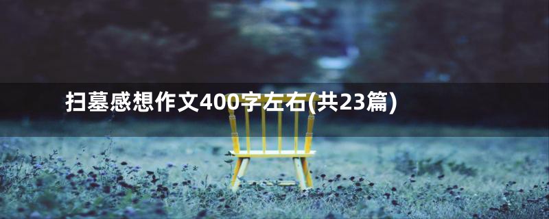 扫墓感想作文400字左右(共23篇)