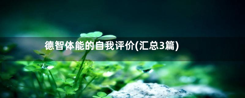 德智体能的自我评价(汇总3篇)