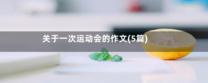 关于一次运动会的作文(5篇)