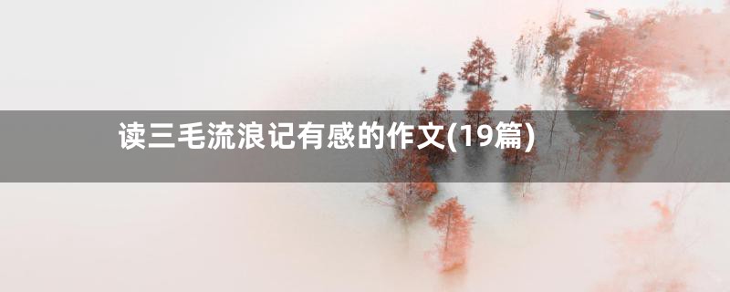 读三毛流浪记有感的作文(19篇)