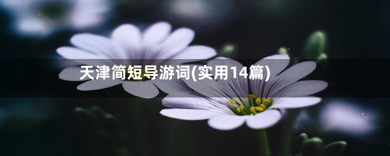 天津简短导游词(实用14篇)