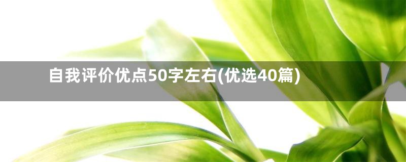 自我评价优点50字左右(优选40篇)