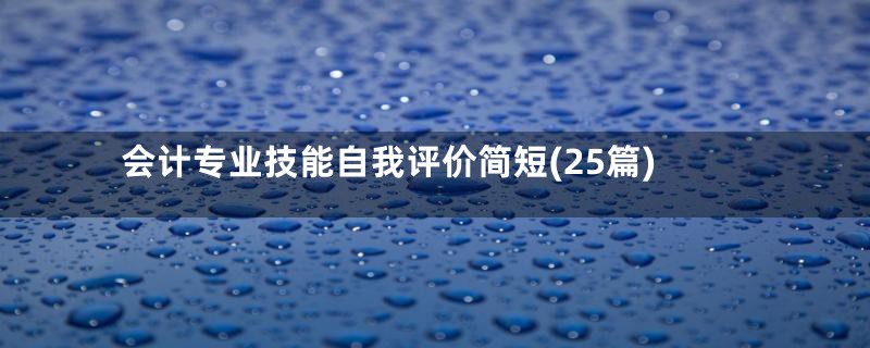 会计专业技能自我评价简短(25篇)