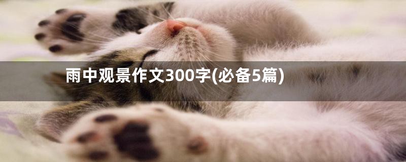 雨中观景作文300字(必备5篇)