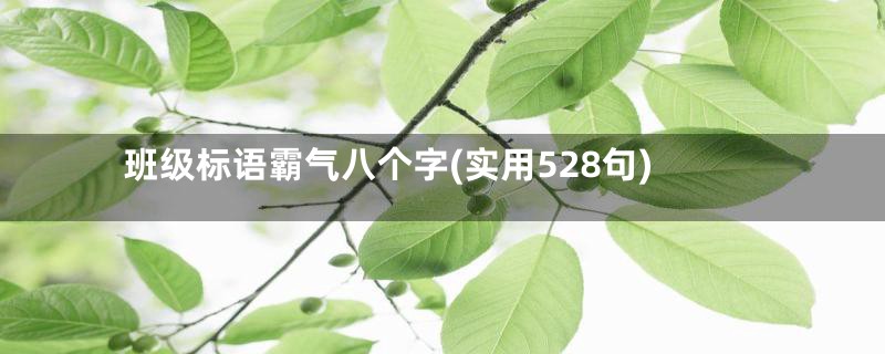 班级标语霸气八个字(实用528句)