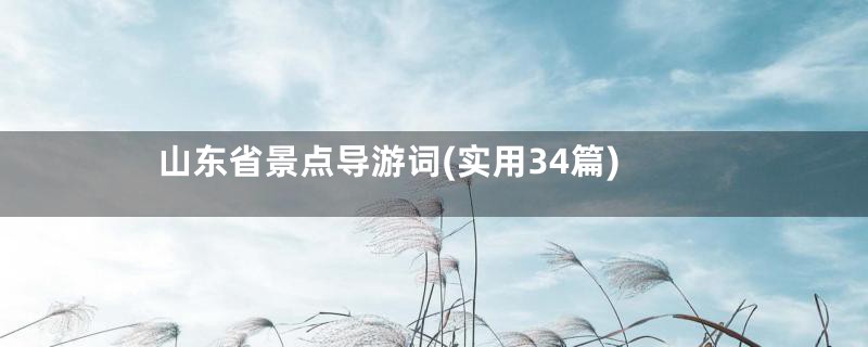 山东省景点导游词(实用34篇)