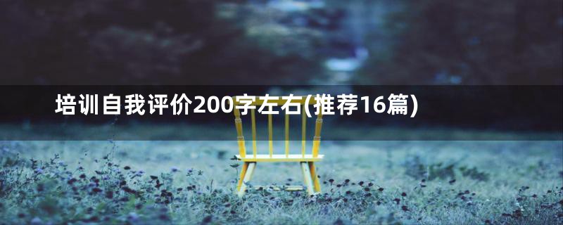 培训自我评价200字左右(推荐16篇)