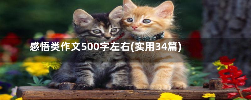 感悟类作文500字左右(实用34篇)