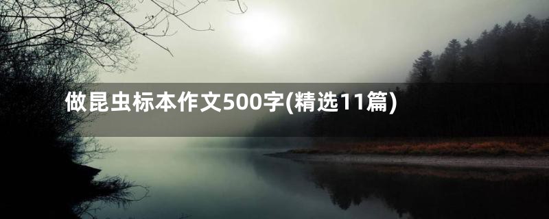 做昆虫标本作文500字(精选11篇)