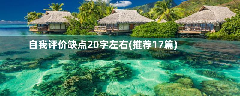 自我评价缺点20字左右(推荐17篇)