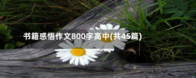 书籍感悟作文800字高中(共45篇)