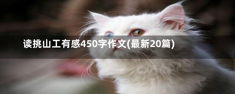 读挑山工有感450字作文(最新20篇)