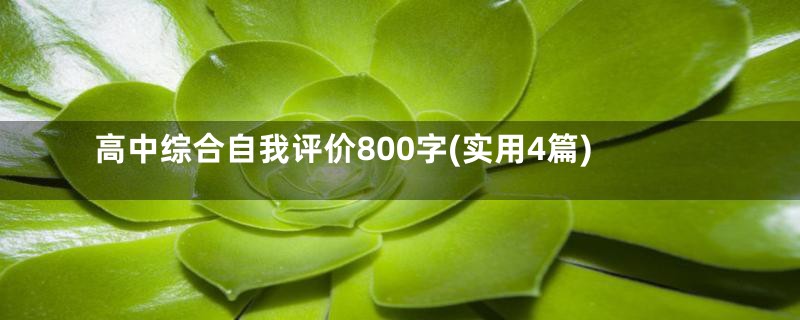 高中综合自我评价800字(实用4篇)