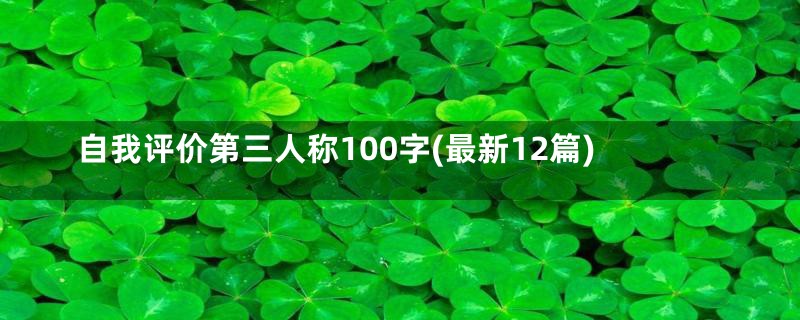 自我评价第三人称100字(最新12篇)