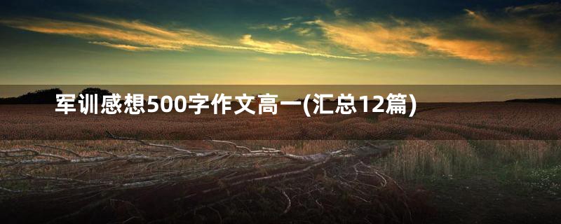 军训感想500字作文高一(汇总12篇)